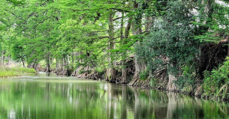 This Quiet Texas Hill Country Swimming Hole Is the Perfect Summer Escape