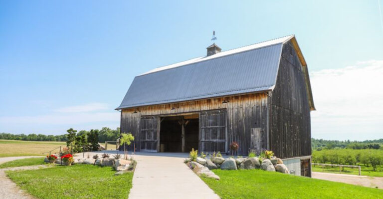 This Scenic Michigan Winery Has Plenty For The Whole Family To Enjoy