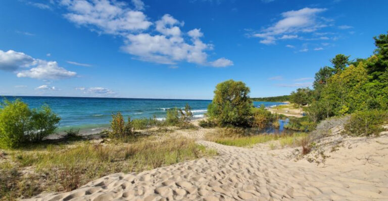 This Secluded Michigan State Park Beach Feels Miles From Everything