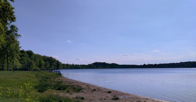 This Shaded Sandy Beach at a Michigan County Park Offers Great Lakes Beauty Without the Crowds