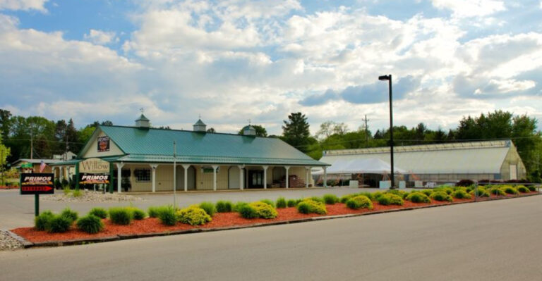 This Small Michigan Restaurant In Cadillac Has Big Flavor And Ratings That Are Hard To Ignore