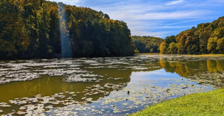 This Tiny Ohio State Park Is Too Gorgeous To Stay A Secret Any Longer