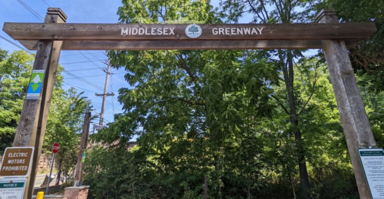 This Tree-Covered New Jersey Trail Connects Three Towns Without the Traffic