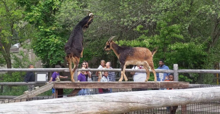 This Underrated New Jersey Zoo Is Perfect for a Low-Cost Day With the Kids