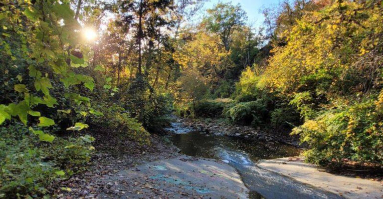 This Unique Ohio Hike Leads To Fascinating Ruins From The Great Depression