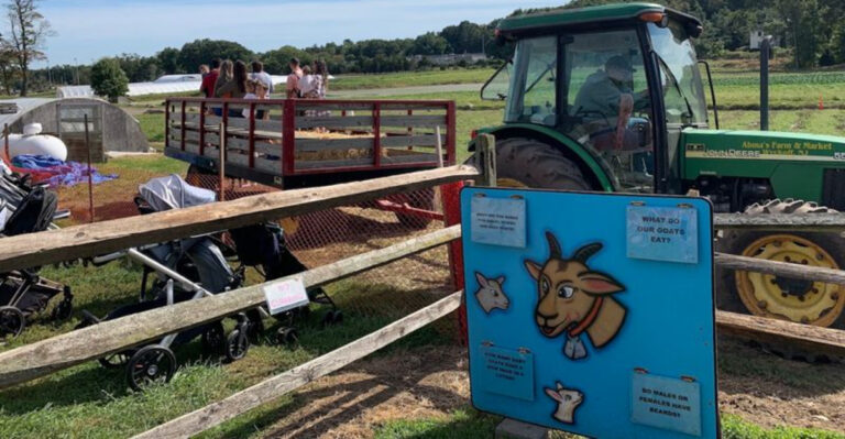 This Whimsical New Jersey Farm Has a Goat Bridge and an Entire Village for Bunnies