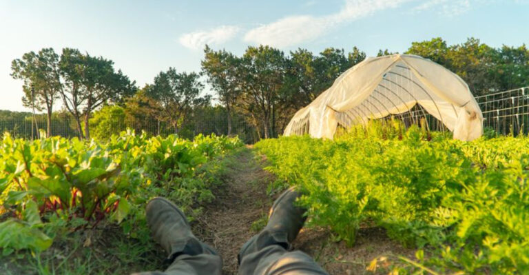 This Whimsical Texas Farm Looks Straight Out of a Storybook