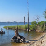 This Wild New Jersey Park Has Salt Marsh Trails, Bay Beaches, and Hardly Any Crowds