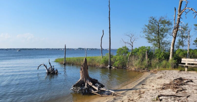 This Wild New Jersey Park Has Salt Marsh Trails, Bay Beaches, and Hardly Any Crowds