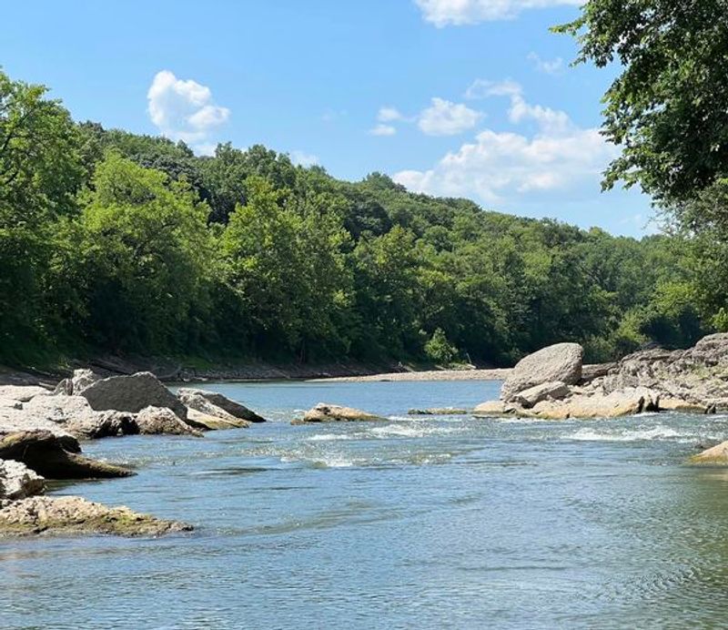 Wildlife, Rocks, and the Fun of Looking Around