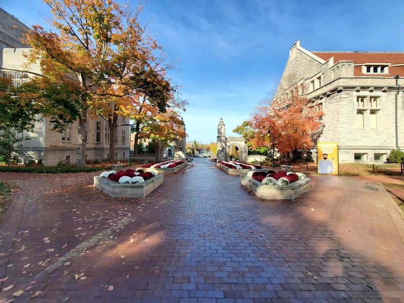 Bloomington
