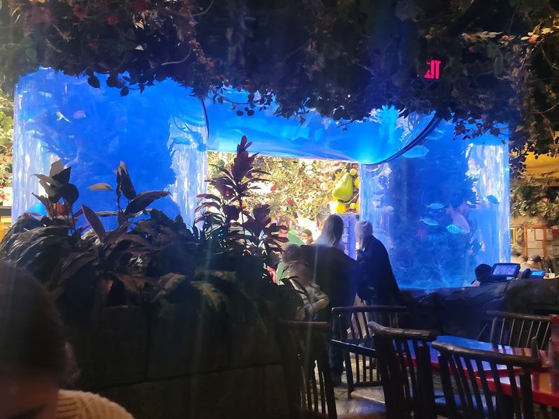 Massive Aquariums Create Underwater Magic