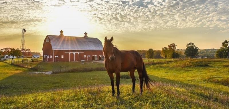 The Farm at Prophetstown (Battle Ground)