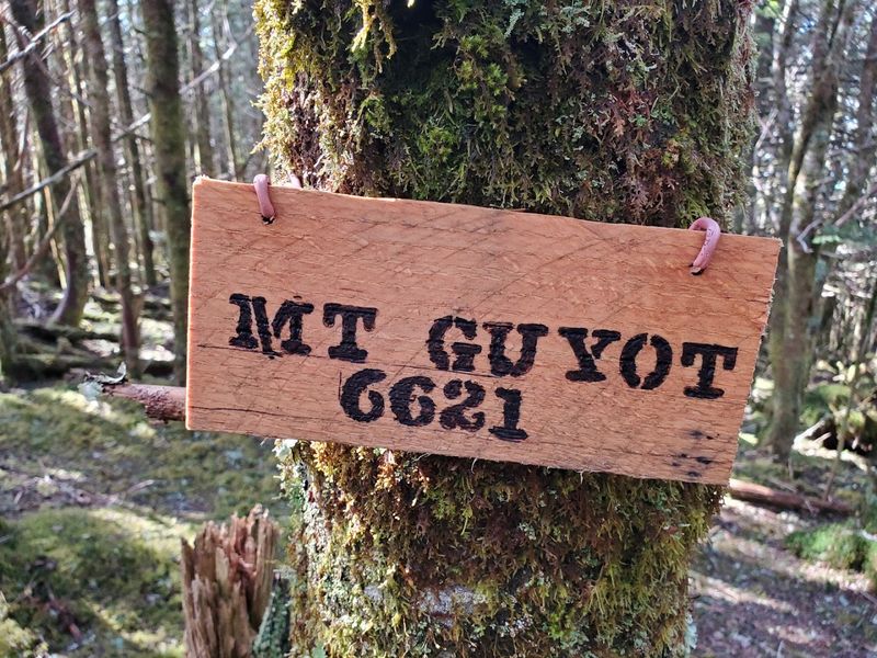 Mount Guyot Mount Guyot