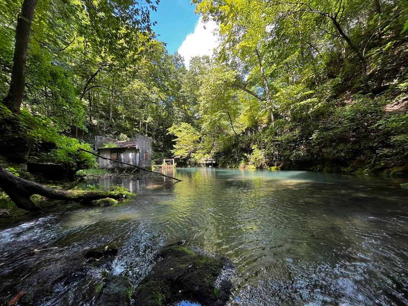 Where the Woods Suddenly Open Into Stone and Water