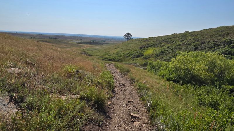 Foothills South Trail Foothills South Trail