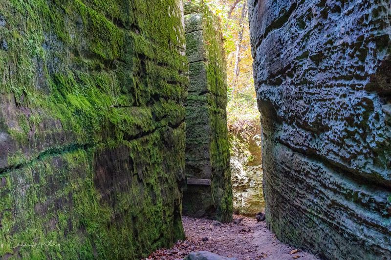 Giant City Nature Trail, Giant City State Park (Makanda)