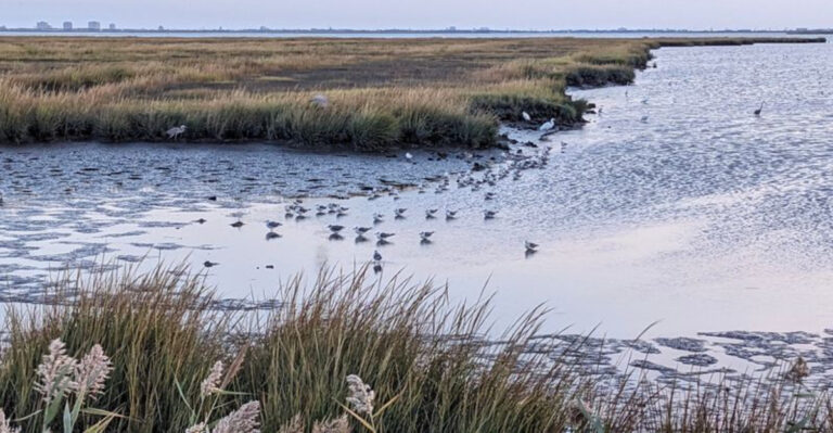 10 Easy New Jersey Hikes Where You May Spot Deer, Turtles, Eagles, and More