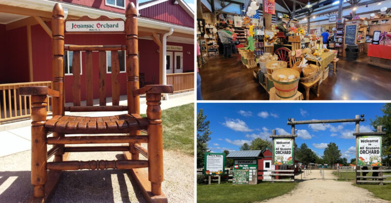 10 Illinois Cider Mills Worth the Drive for Fresh-Pressed Cider and Warm Doughnuts