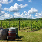 10 Scenic Illinois Wineries Made for Sipping With a View