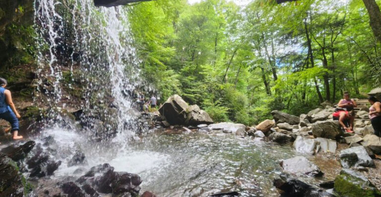 10 Tennessee Hiking Trails Where You Might Spot A Black Bear Along The Way