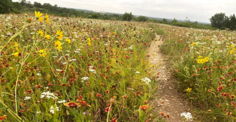 10 Texas Walks That Are Easy, Scenic, And Surprisingly Fun