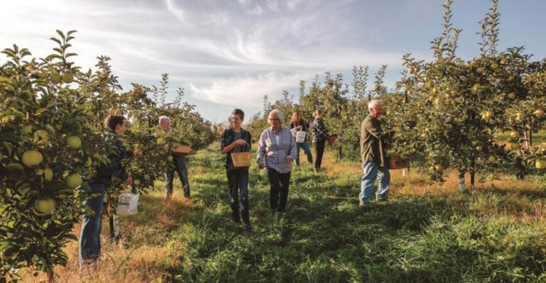 11 Ohio Orchard Bakeries Worth Visiting When Apple Season Begins