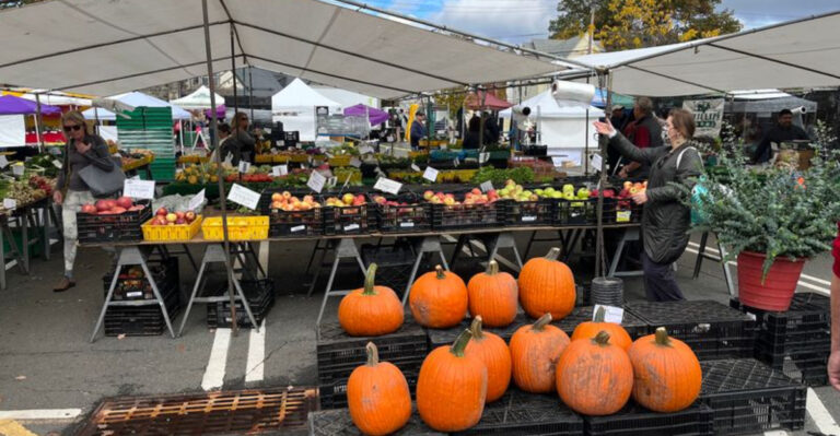 12 Farmers Markets Across New Jersey Where $50 Buys a Surprisingly Big Haul