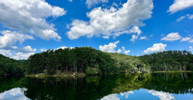 12 Hidden Ohio Lakes Perfect For Escaping Heavy Summer Crowds