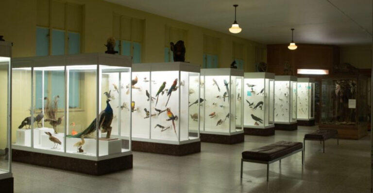 12 Museums Across Pennsylvania That Gave Us Our Favorite Discoveries
