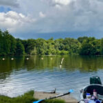 12 Natural Swimming Holes in Missouri Worth Visiting Before Summer Is Over