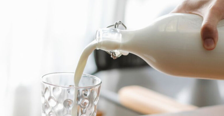 12 New Jersey Dairy Farms Serving Milk, Cheese, and More Straight From the Source