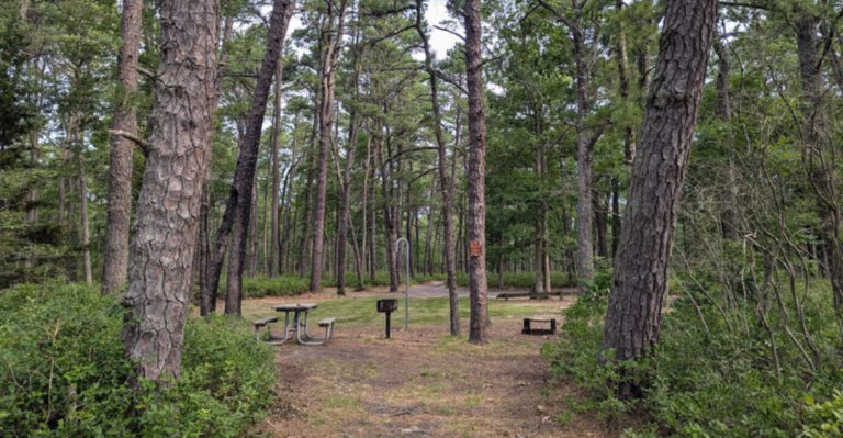 12 New Jersey Trails That Feel Remote Without Being Difficult