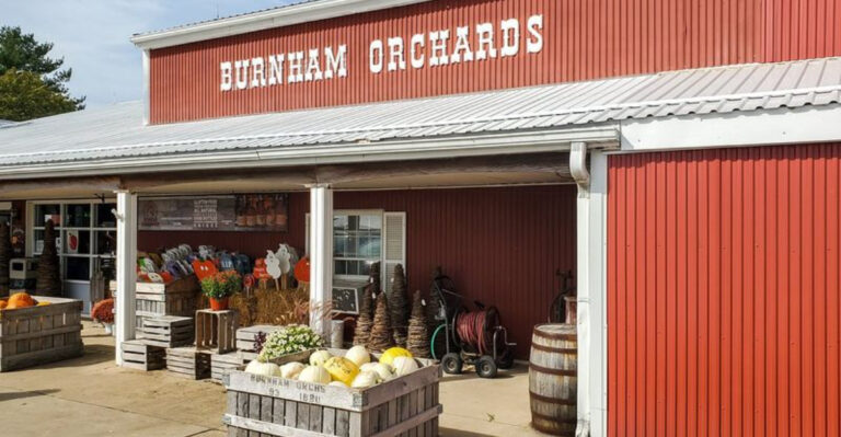 12 Ohio Peach Treat Stops Celebrating The Flavor Of Late Summer