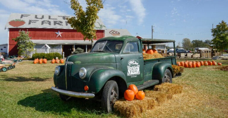 12 Ohio Sweet Corn And Farm Stand Stops Full Of Peak Summer Flavor