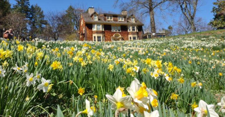 12 Peaceful Places in New Jersey Where Stress Seems to Disappear