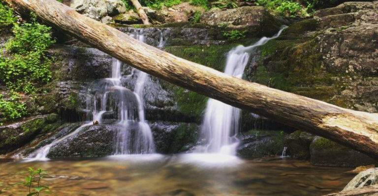 12 Secret New Jersey Waterfalls You Have to See to Believe