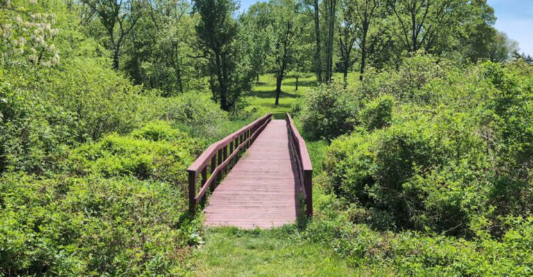 13 Gorgeous New Jersey Parks You’ll Wish You Had Discovered Sooner