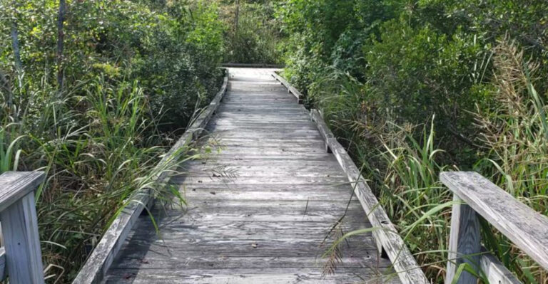 13 New Jersey Boardwalk Trails That Aren’t At The Beach