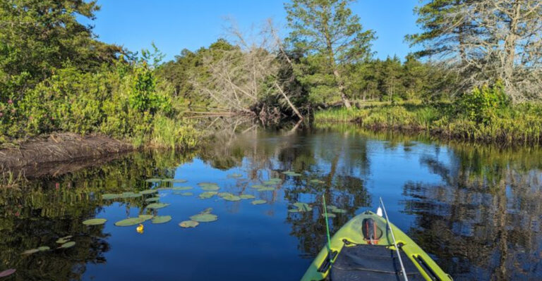 13 New Jersey Places Where You Can Hear Birds Instead Of Traffic