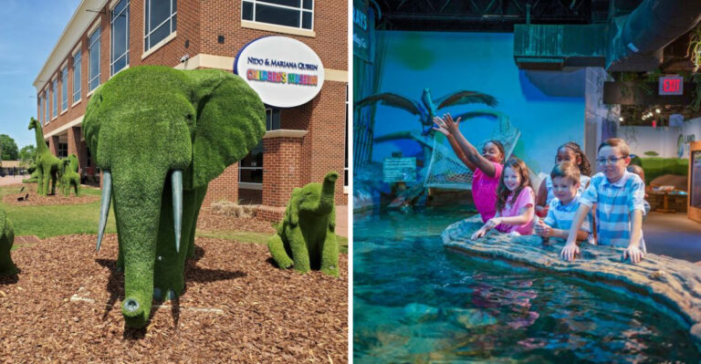 13 North Carolina Children’s Museums So Fun Even Parents Get Distracted