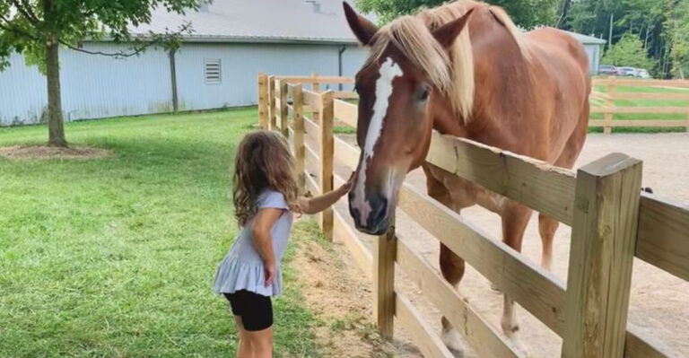 13 Ohio Family Day Trips Perfect For Easy And Fun Getaways
