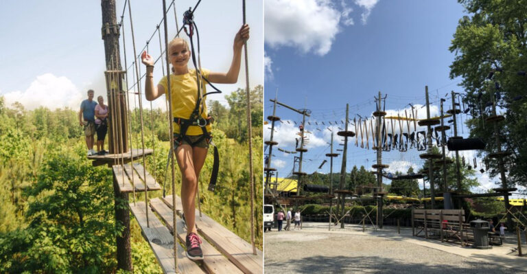13 Ohio Treehouse And Canopy Walk Stops Made For Summer Adventures