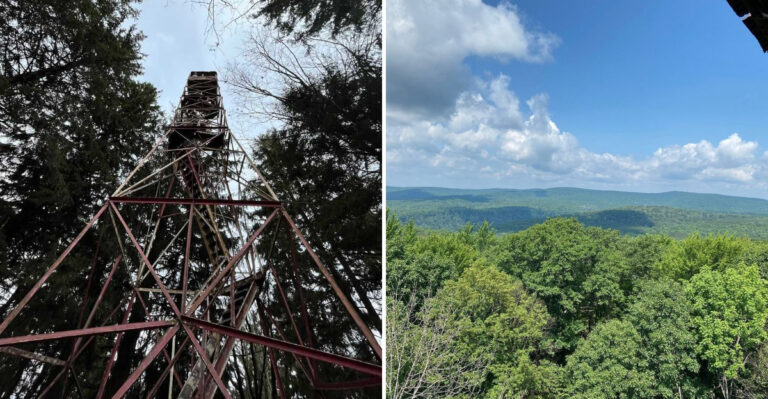 13 Pennsylvania Observation Towers With Views Worth Going Out Of Your Way For