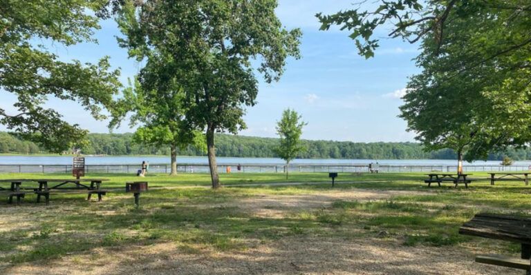 13 Picturesque Picnic Spots In Pennsylvania For A Summer Day You Won’t Forget