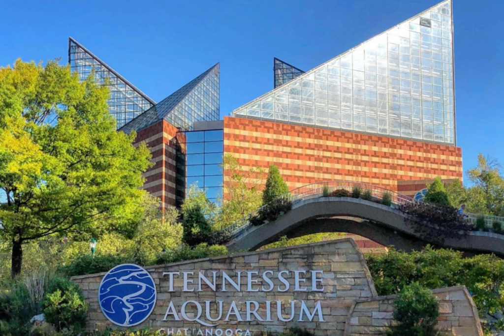 15 Bucket List Destinations That Show Off the Best of Tennessee