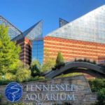15 Bucket List Destinations That Show Off the Best of Tennessee