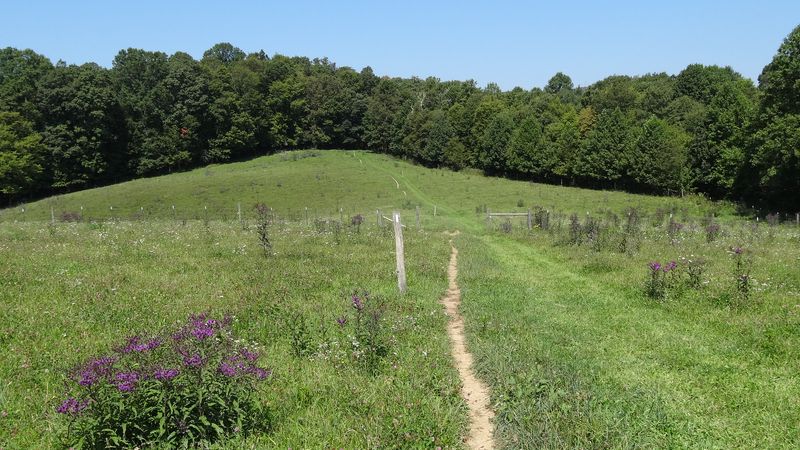 Outdoor Activities Remain Comfortable Without Extreme Heat