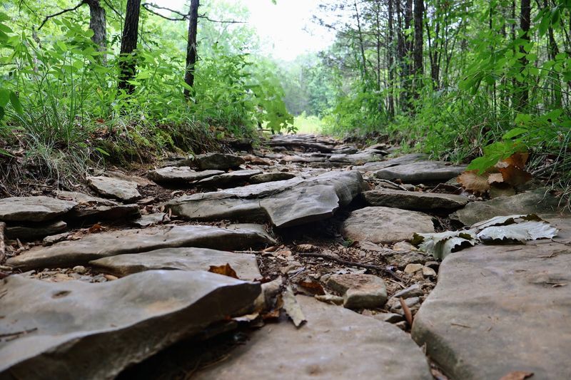 Flat Rock Cedar Glades and Barrens State Natural Area