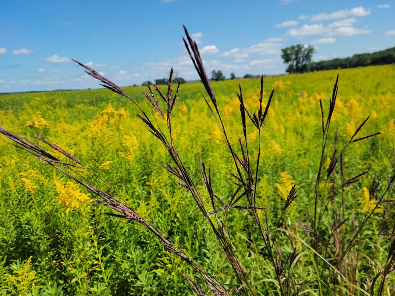 Spring Puts the Ground on Stage